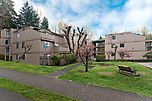 Mountain Wood: 102 - 9131 Capella Drive