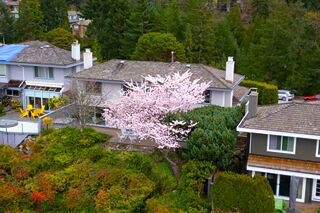 5436 Westhaven Place