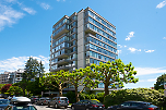 Westerlies: 1102 - 1480 Duchess Avenue