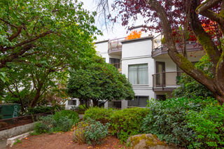 Sunrise on the Park: 105 - 2222 Prince Edward Street