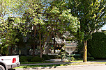 Talishan Woods: 303 - 1545 East 2nd Avenue