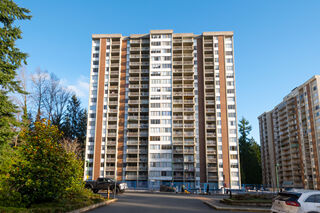 Seymour: 1710 - 2008 Fullerton Avenue