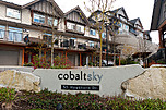 Cobalt Sky: 84 - 55 Hawthorne Drive